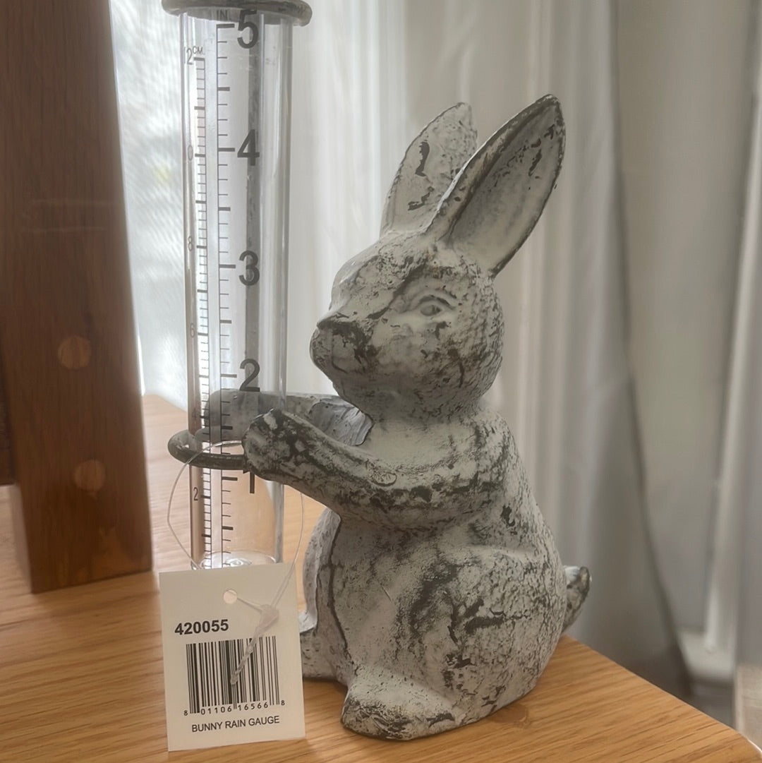 Bunny Rain Guage